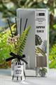 PROFUMATORE CON BASTONCINI 100ML 3FRAGRANZE ASS.
