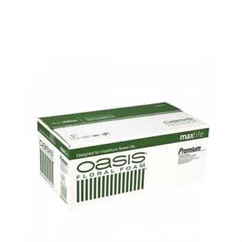 SPUGNA OASIS PREMIUM MAXLIFE 20 PZ ART. 1001