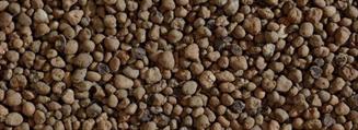 ARGILLA 20LT 8-20MM