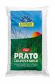 EUROSEME CALPESTABILE SACCO 1000GR