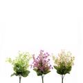 FIORE DI CAMPO PICK 32 CM COLORI ASS