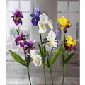 FIORE IRIS 4 FIORI 107 CM 4 COLORI ASS