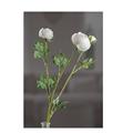 FIORE CAMELIA BIANCA 2 FIORI 1 BOCCIOLO 49 CM