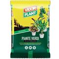 TERRICCIO PIANTE VERDI 10 LT