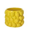 CASPO IN CEMENTO D. 16,5 X H 14 CM