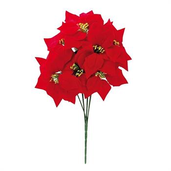 PIANTA STELLA DI NATALE D. 35 X H 50 CM