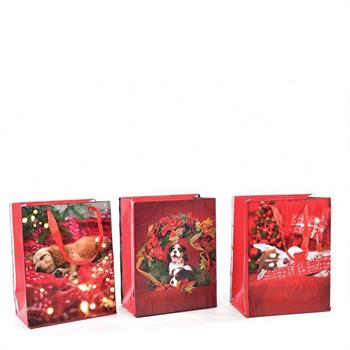 BUSTA NATALIZIA 32 X 10,5 X H 44,5 CM ASS