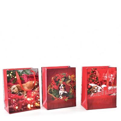 BUSTA NATALIZIA 40 X 20 X H 55,5 CM ASS