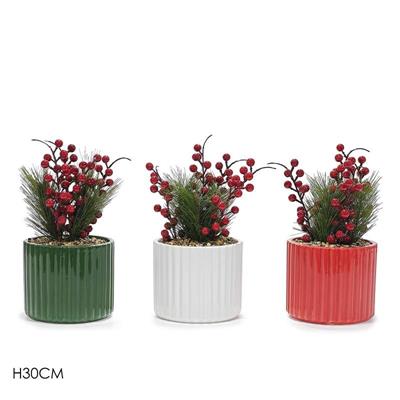 PIANTA NATALIZIA 30 CM ASS