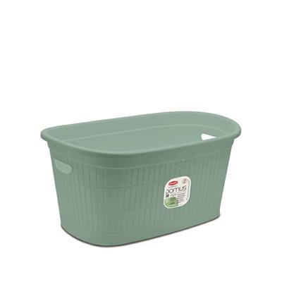 CESTA DOMUS GREEN TEA