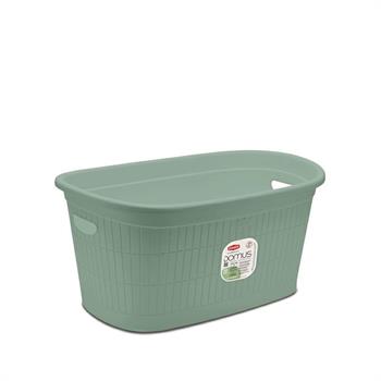 CESTA DOMUS GREEN TEA