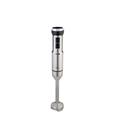FRULLATORE AD IMMERSIONE INOX 1000 W