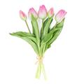 FIORE BOUQUET 5 TULIPANI CANGIANTI IN PVC 20X6XH31 CM FUCSIA
