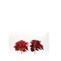 FIORE STELLA DI NATALE 5 FIORI 35 X 25 X 25 CM ASS