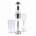 FRULLATORE IMMERSIONE GAMBO ACCIAIO CON FRUSTA 500W