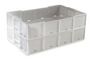 BACINELLA PESCE FORATA 54X35X11h 16 lt NEUTRA